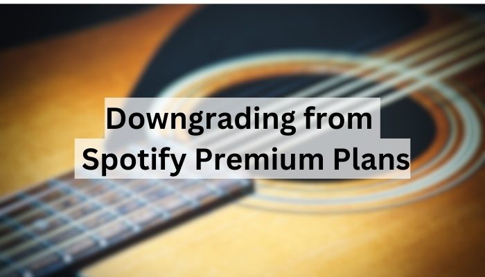 Spotify Premium Plans 