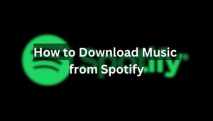 Spotify Tips