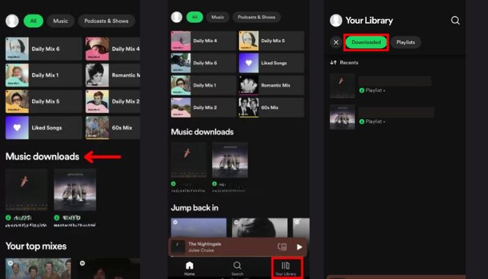 Listen Spotify Offline 
