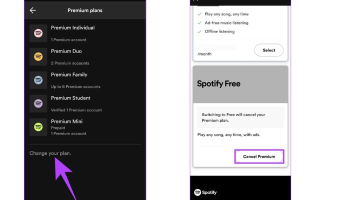 How to cancel spotify 